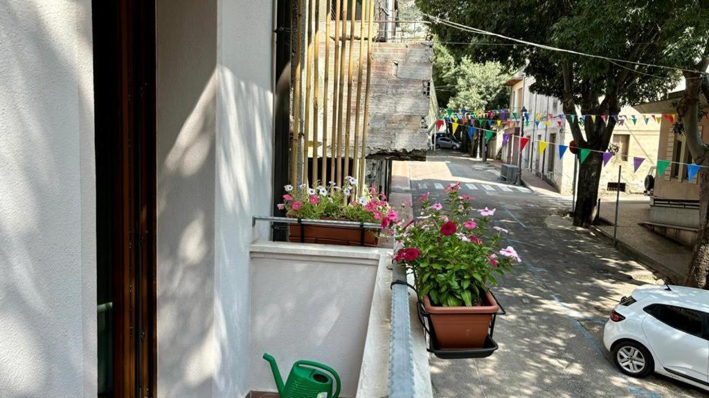 Casa Del Corso Hotel Dorgali Luaran gambar